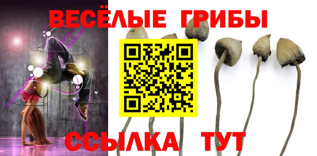 Псилоцибиновые грибы мухоморы Ульяновск