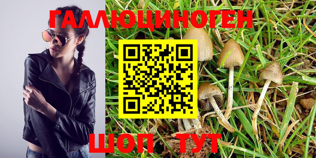 Ульяновск  Галлюциногенные грибы MAGIC MUSHROOMS  купить наркотики цена  Вход с VPN 